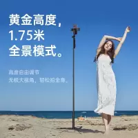 W&P 自拍杆