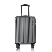 时乐鸟SLN-X301拉杆箱(铁灰20寸)