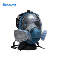 海固800D+P-H2S-1自吸过滤式防毒面具全面罩海固 800D+P-H2S-1滤毒盒套装