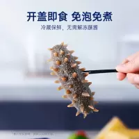 官栈9S系列鲜炖海参180g(7条/盒)(Y)