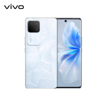 vivo S18 12GB+256GB 花似锦