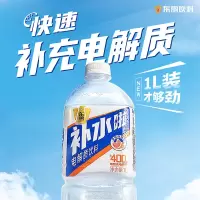 东鹏特饮1L*12瓶补水啦西柚