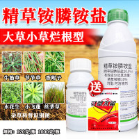 精草铵膦铵盐除草剂节节草水花生牛筋草果园空地苗圃死草烂根农药 120克