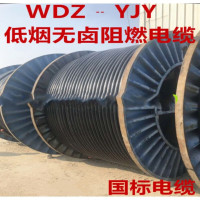 桂林国际低烟无卤铜芯电缆WDZ-YJY 3*2.5mm² 单位:1米