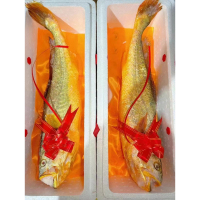 冰鲜大黄鱼 750克-850克 保质期18个月 可食堂全品类供应