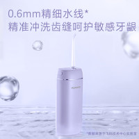 飞科(FLYCO)立式冲牙器洗牙器洁牙器 高频脉冲水牙线 家用便携清洁器 情人节新年礼物FP7800(单位:件)(H)