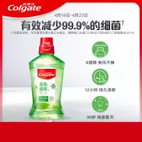 高露洁 茉莉绿茶漱口水500毫升 (单位:件)(H)