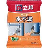 立邦 水不漏堵漏涂料 卫生间堵漏宝 速凝型胶泥 2kg