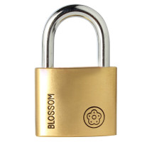 梅花(BLOSSOM)铜挂锁 自动门锁60MM 防水防锈仓库学校大铁门锁9060