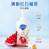 舒肤佳(Safeguard ) 焕肤红石榴泡沫沐浴露500ML