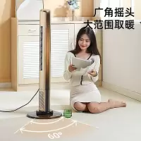 长虹(CHANGHONG) QNQ-20A01 塔式暖风机 (单位:台)