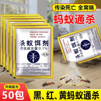 蚂蚁药家用室内全窝端灭杀小黄红黑饵剂一锅端厨房户外除蚁非无毒