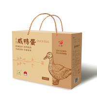 久邮咸鸭蛋吸塑流油正宗高邮熟开袋即食20枚礼盒装 65g/枚(单位:盒)