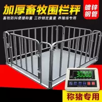 畜牧地磅2*3围栏3T地磅