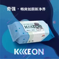 奇强 QQSCD170湿厕纸 80片/4包/组/225x105x65(1包)