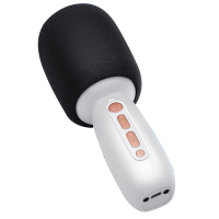 唱吧 C10 麦克风话筒音响一体机