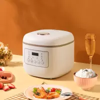 SANSUI多功能电饭煲S-FB1206 4L