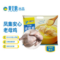 黄天鹅|凤集安心老母鸡1.2kg