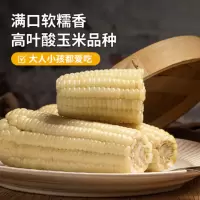 北纬47°BEIWEI 白糯鲜玉米10只 220g*10