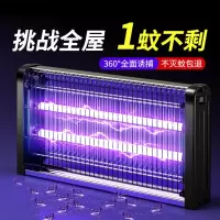 灭蝇灯大号 商用家用灭蝇灯