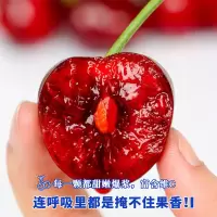 冠町 大连美早大樱桃车厘子2.8斤家庭装特级JJJ[单果30-32mm]新鲜水果生鲜