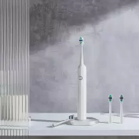 歌林 彼特电动牙 刷 GL-YS02