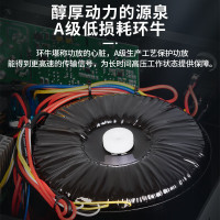 TKT 专业功效音箱TM1000