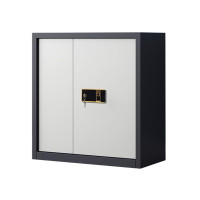 企诺保密柜文件柜铁皮柜员工柜资料柜灰框白门QNGCFO-06ZWGW