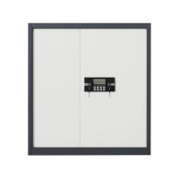 企诺保密柜文件柜铁皮柜员工柜资料柜灰框白门QNGCFO-05DZGW