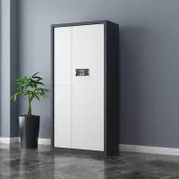 悦山钢制文件柜带斗通体保密柜灰白套色电子密码锁900*420*1850mmYSOA3fo04DZHTB