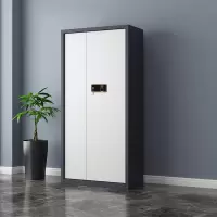 悦山钢制文件柜带斗通体保密柜灰白套色指纹密码锁900*420*1850mm YSOA3fo04ZWHTB