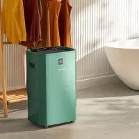 奥戈那(OGNAL)工业除湿器 大面积除湿净化级 60L/天 30-300㎡ 绿色 OL60NAPP-PLUS