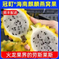 冠町 海南麒麟黄火龙果燕窝果2斤5个礼盒装 新鲜应季水果生鲜