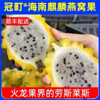 冠町 海南麒麟黄火龙果燕窝果4斤[11-12枚]礼盒装 新鲜应季水果生鲜