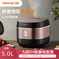 九阳(Joyoung)IH电饭煲F-50T20S