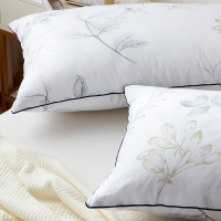 梦洁美颂玻尿酸亲肤枕单个装48*74*26cm