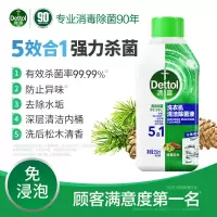 滴露 250ml洗衣机清洁除菌液经典松木(H)