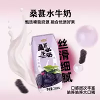 左江桑葚水牛奶210ml*10盒/箱