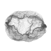 黛狄芬发网55cm 100个装 送U型夹