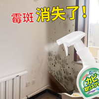 ORIOCEAN奥瑞欧除霉清洁剂500ml