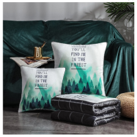 伊伊爱 B01900005 40*40cm棉麻水洗绒抱枕被 105*150cm (1)个