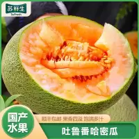 [苏鲜生]顺丰快递 新疆哈密瓜净重6-7斤 2枚装 新鲜西州蜜25号水果应当季网纹吐鲁番甜瓜