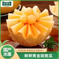 [苏鲜生]新鲜黄金哈密瓜 致爱密瓜 带箱9斤 2-5枚装 新鲜水果黄金哈密瓜应当季网