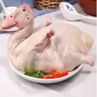 白条鸭 kg