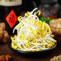 黄豆芽一批(3元/kg*1.5kg)