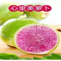 红心萝卜 kg