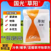 国光草阳套除百慕大马尼拉除地锦水花生小飞蓬阔叶杂草草坪除草剂