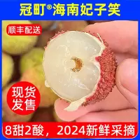 冠町海南妃子笑荔枝5斤装单果18g以上新鲜水果生鲜