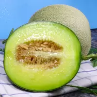 希礼盛山东海阳网纹瓜净重8.5斤