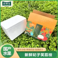 顺丰冷链 [苏鲜生]礼盒装 海南妃子笑荔枝 新鲜水果 甜美多汁 净重4.5斤 单果20g左右